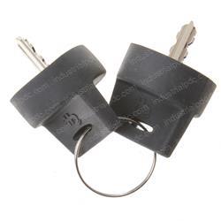 Picture of Set of Keys for Keyswitch