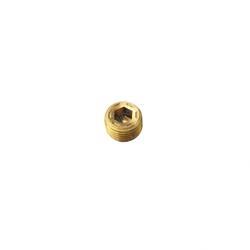 Picture of Plug - Pipe Hex Socket