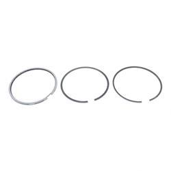 Picture of Assembly-Ring Piston(025)