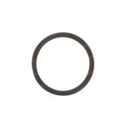 Picture of O-Ring
