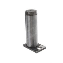 Picture of Pin