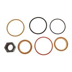 Picture of Seal Kit