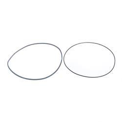 Picture of O-Ring and Seal Ring