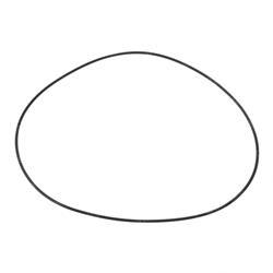 Picture of O-Ring