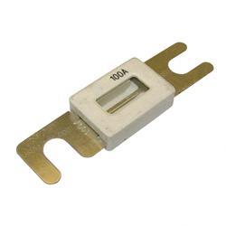 Picture of Fuse 100a