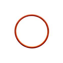 Picture of Seal