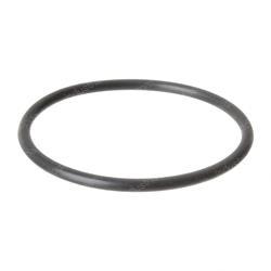 Picture of O-Ring