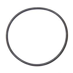 Picture of O-Ring