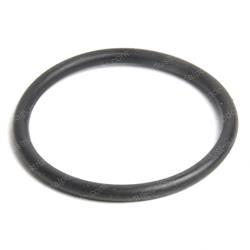 Picture of O-Ring