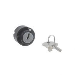 Picture of Keyswitch-2 Pos Sprng Rtrn Lt