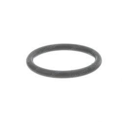 Picture of O-Ring