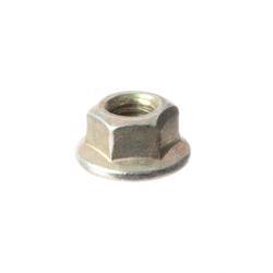 Picture of Nut