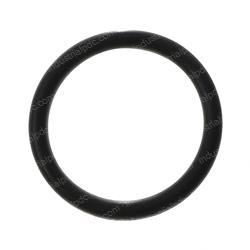 Picture of O-Ring