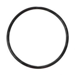 Picture of O-Ring