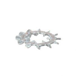 Picture of Tooth Washer
