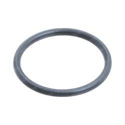 Picture of O-Ring