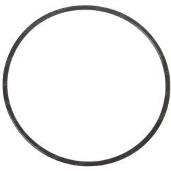 Picture of O-Ring