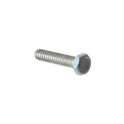 Picture of Screw