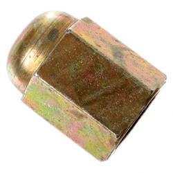 Picture of Nut-Acorn