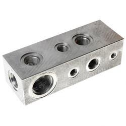 Picture of Manifold