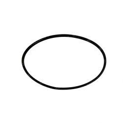 Picture of Ring - Spline Seal