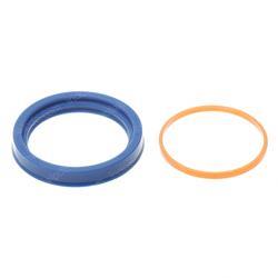 Picture of Seal - Lip