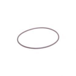 Picture of O-Ring