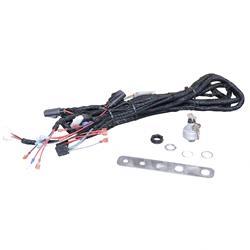 Picture of Kit-Harness and Power Keyswitch