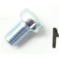 Picture of Plug - Filler