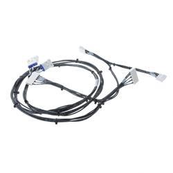 Picture of Harness