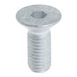 Big Joe 3020-000001-09 - screw m10x25