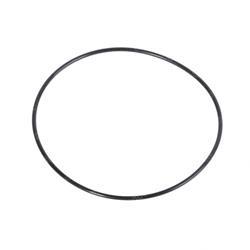 Picture of O-Ring