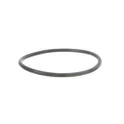 Picture of O-Ring