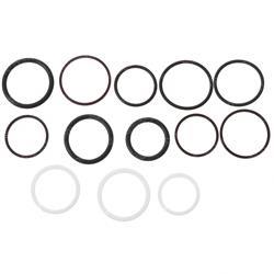 Picture of Seal Kit/Counterbalance