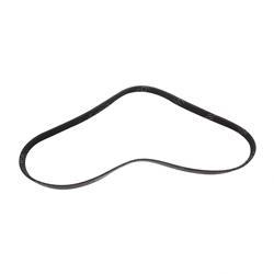 Picture of Belt - Serpentine