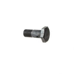 Picture of Brake Banjo Bolt