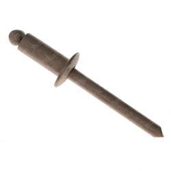 Picture of Rivet-Stl-Stl-Dome-1/4x..375-Z