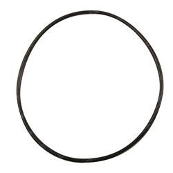 Picture of O-Ring