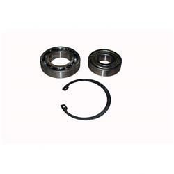 Picture of Bearing Kit
