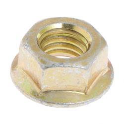 Picture of Nut