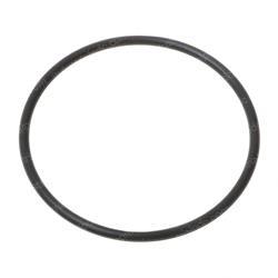 Picture of O-Ring