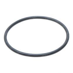 Picture of O-Ring