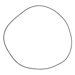 Picture of O-Ring