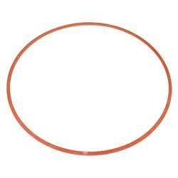 Picture of Back-Up Ring