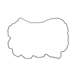 Picture of Gasket