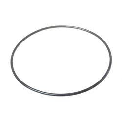 Picture of O-Ring - Swg Motor