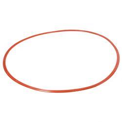 Picture of Gasket