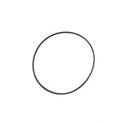 Picture of O-Ring