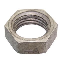 Picture of Nut
