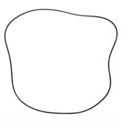 Picture of O-Ring